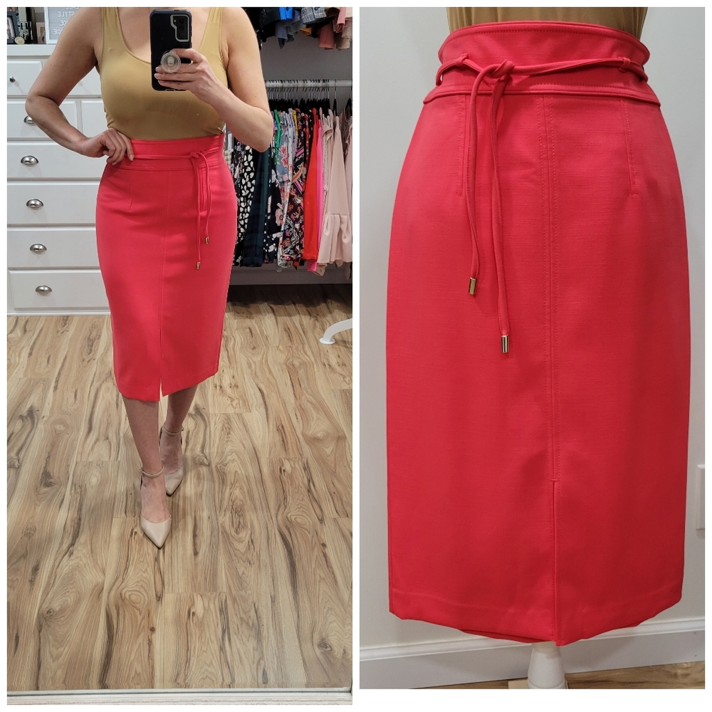 Ann Taylor Pink Pencil Skirt
